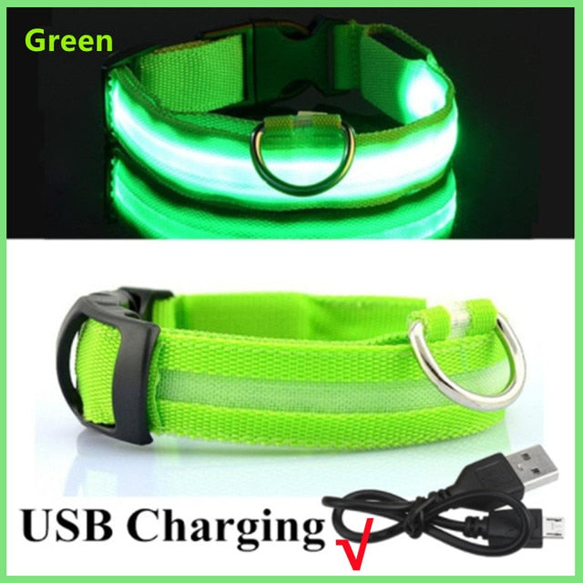 Collar para perro ajustable con luz LED