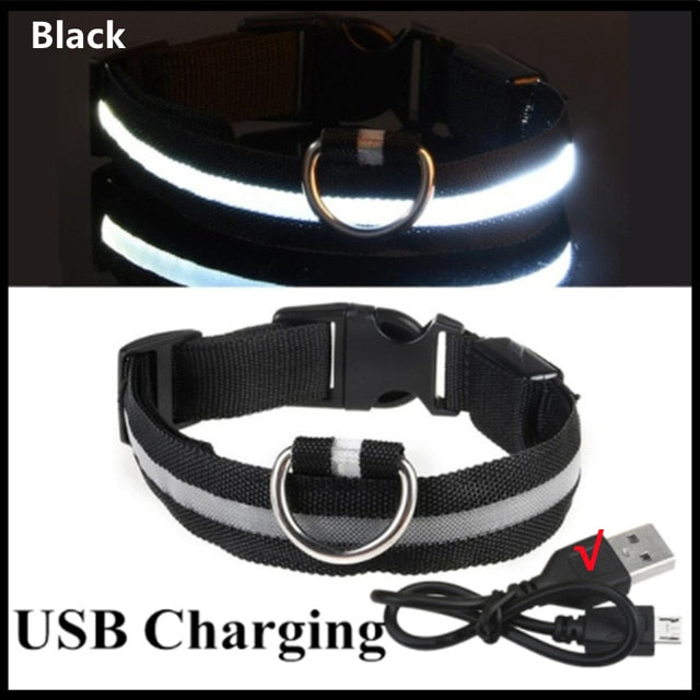 Collar para perro ajustable con luz LED
