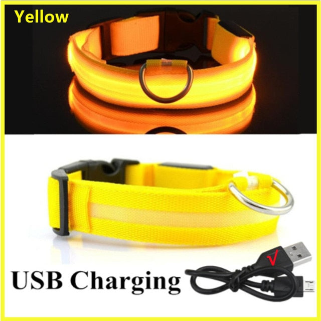 Collar para perro ajustable con luz LED